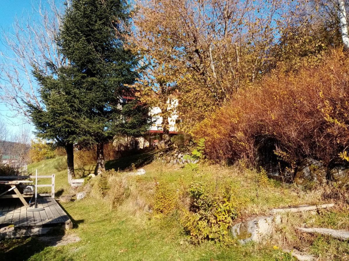 Au Grenier Du Lac Жерарме Экстерьер фото