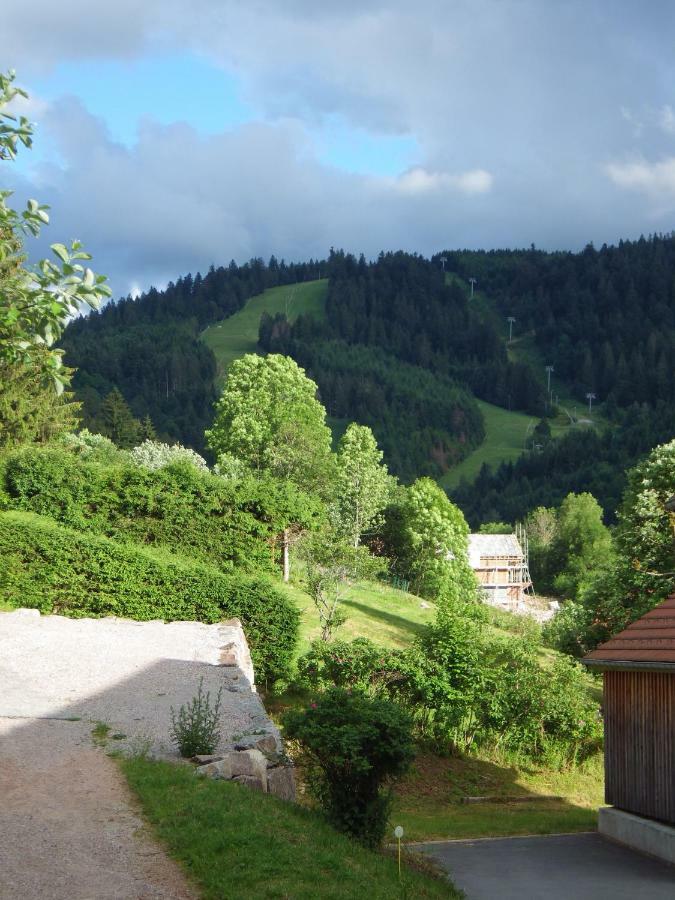 Au Grenier Du Lac Жерарме Экстерьер фото